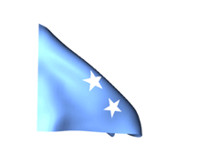 File:Garde du drapeau du 22e BIMa novembre 2008.GIF - Wikipedia